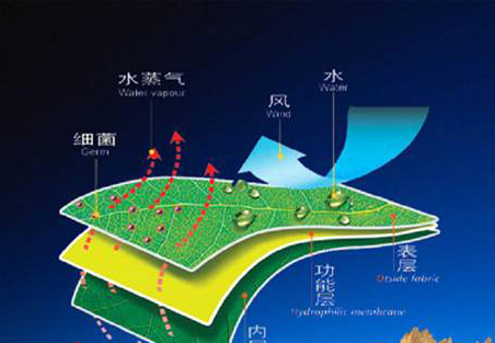 乐佳纺织